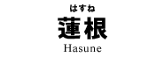 蓮根