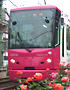 如何乘坐Tokyo Sakura Tram(都电荒川线)