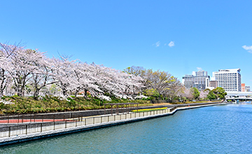 画像：公園とスカイツリー