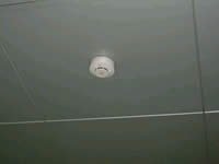 写真：自動火災報知設備