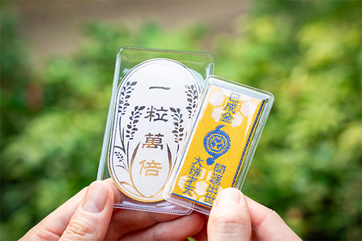 高級鯛焼本舗 柳屋