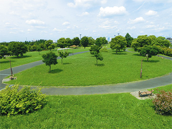 画像：舎人公園