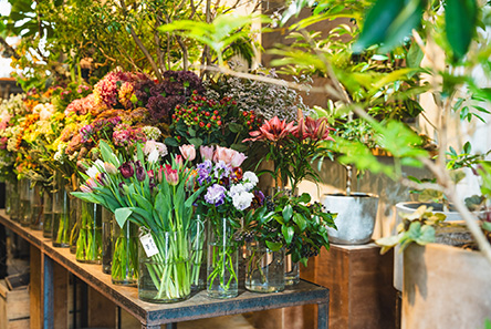 LUFF Flower & Plants WORKS