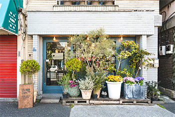 LUFF Flower & Plants WORKS