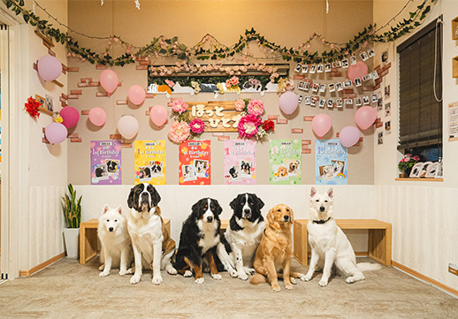 大型犬ふれあいカフェ ほっとひと犬