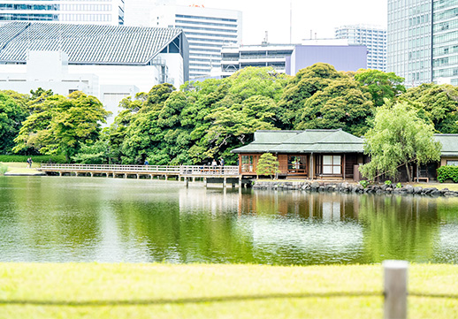浜離宮恩賜庭園