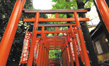 画像：深紅の風景