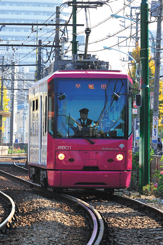 韓紅花の風景