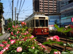 都電バラ号