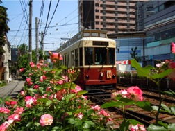 都電バラ号