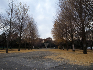 写真：都立赤塚公園