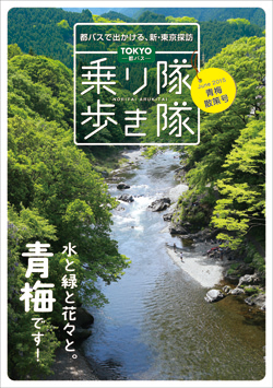 乗り隊歩き隊 青梅散策号