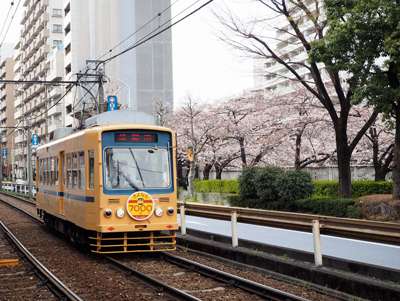 7022号車（あおおび）