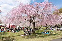 尾久の原公園（荒川区）