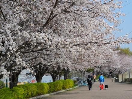 舎人公園（足立区）