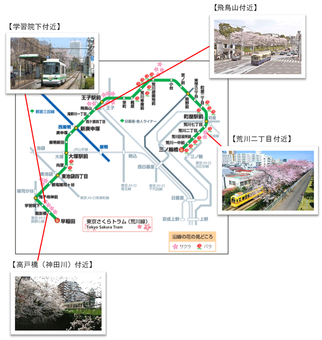 沿線で桜を観覧できる箇所