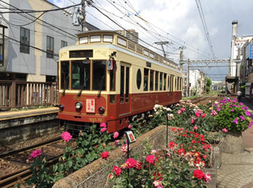 写真：都電バラ号