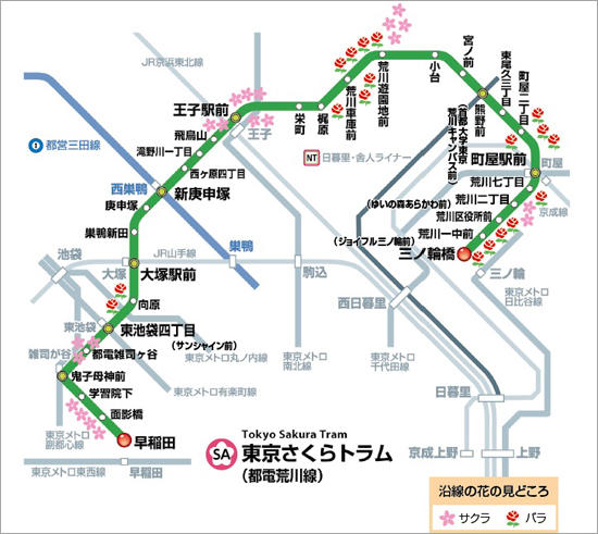 東京さくらトラム 路線図