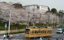 イメージ：飛鳥山停留場付近