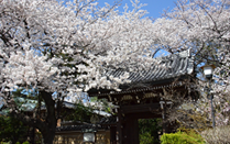 イメージ：法明寺山門