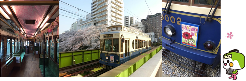 画像：東京さくらトラム（都電荒川線）