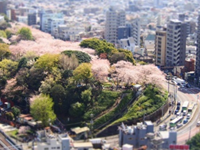 画像：飛鳥山公園付近