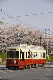 画像：飛鳥山 王子駅前