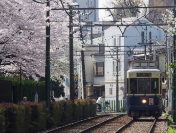 写真：荒川二丁目停留場付近