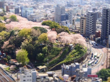 写真：飛鳥山公園付近