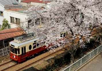 画像：都電荒川線の写真 2