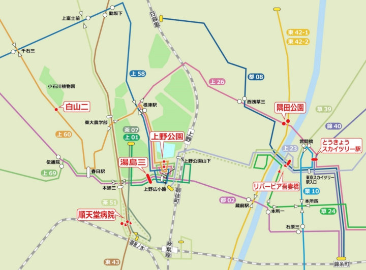 画像：バス路線マップ