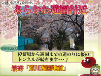 沿線お花見スポット：「あらかわ遊園付近」 ひとくちメモ：停留所から遊園までの道のりに桜のトンネルが続きます...♪ 最寄：「荒川遊園地前」