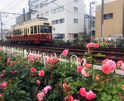 画像：装飾車両（9001号車）の写真