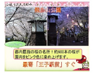 画像：沿線お花見スポット「飛鳥山公園」