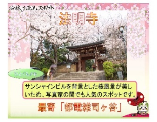 画像：沿線お花見スポット「法明寺」