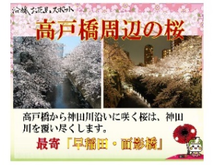 画像：沿線お花見スポット「高戸橋周辺の桜」