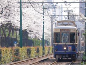 写真：桜と9002号車