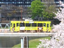 写真：路面電車1
