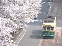 写真：路面電車2