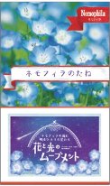 画像：ネモフィラの種