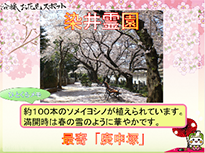 沿線4区のお花見スポット2