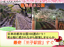沿線4区のお花見スポット4