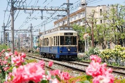 画像：バラと9002号車