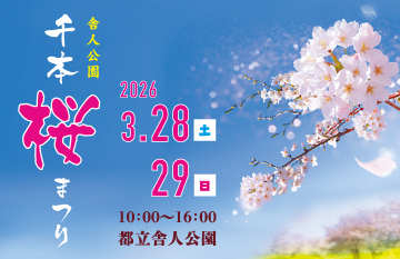 画像:舎人公園 千本桜まつり 2026年3月28日(土)、29日(日) 10時から16時 都立舎人公園