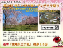 画像:沿線お花見スポット「第20回尾久の原公園シダレザクラ祭り」