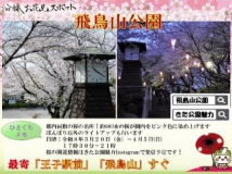 画像:沿線お花見スポット「飛鳥山公園」