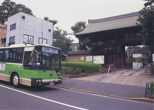 護国寺 今のイメージ