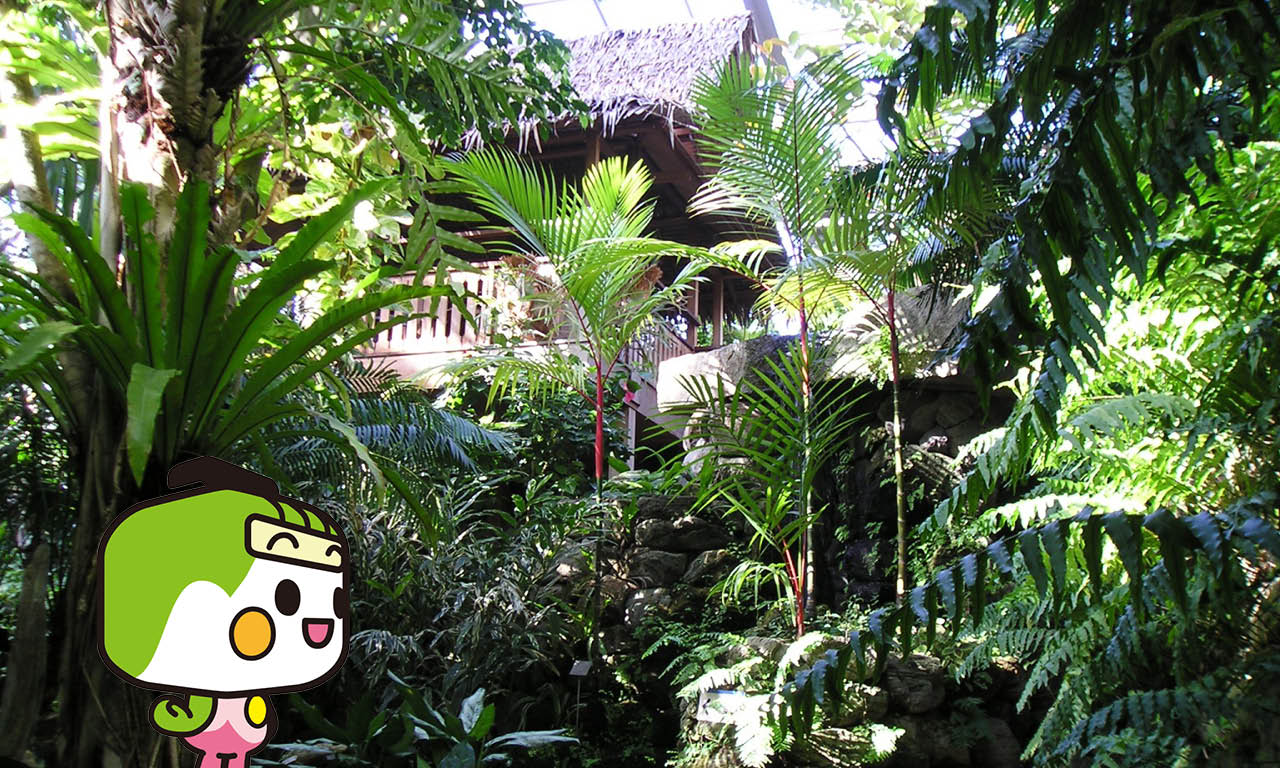熱帯環境植物館1