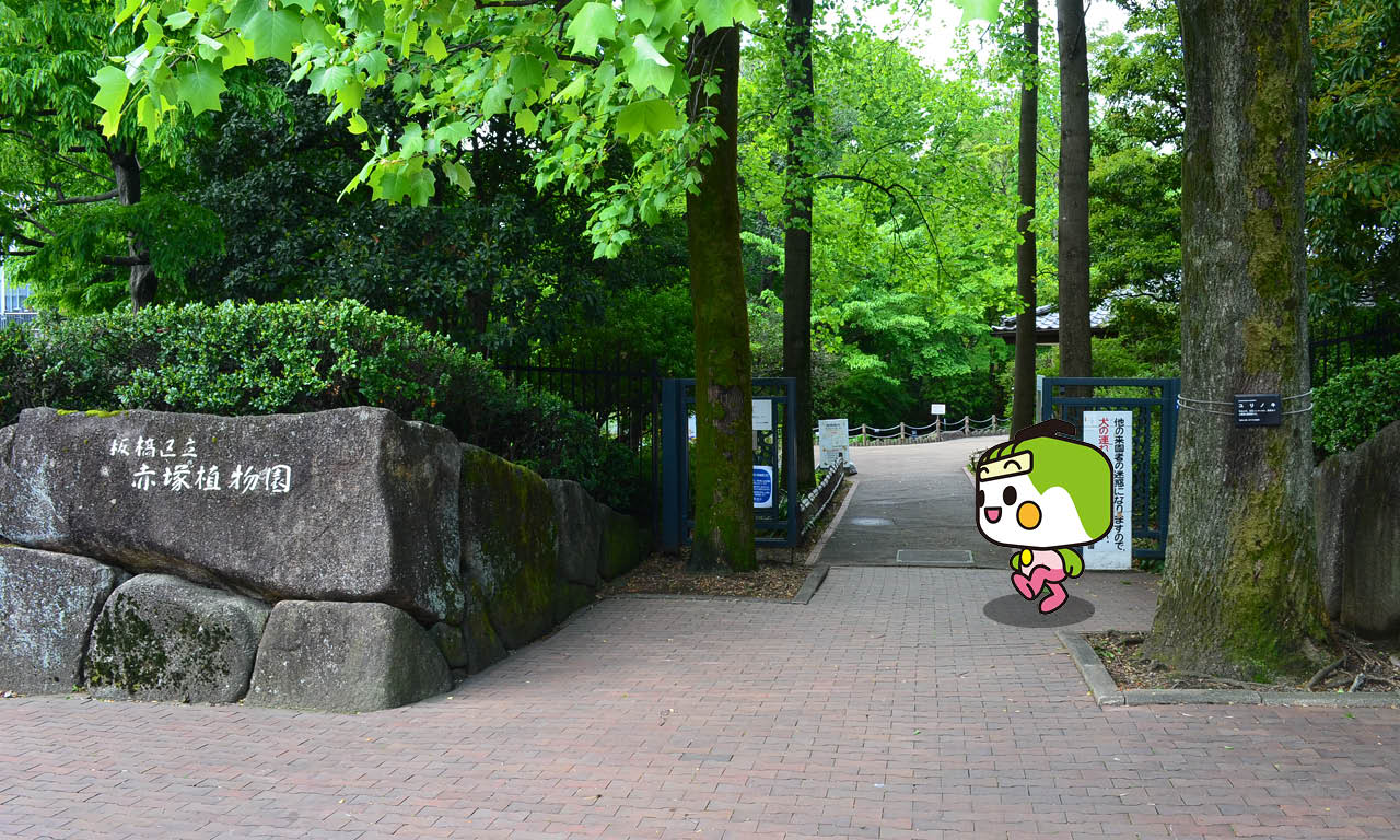 赤塚植物園1