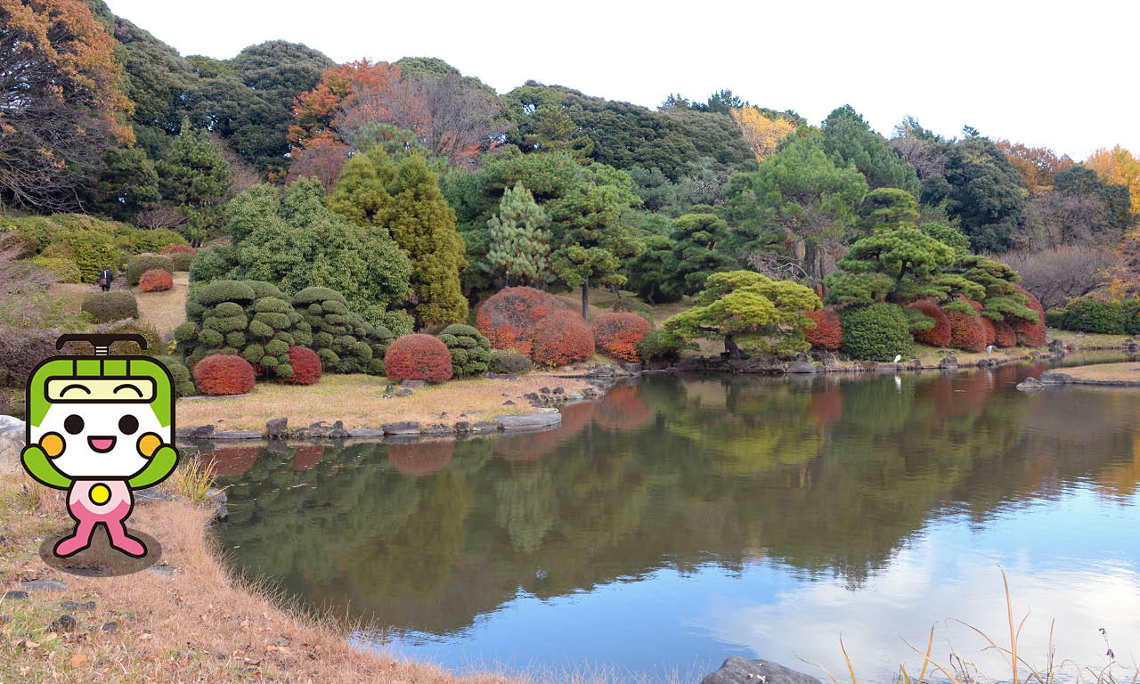 小石川植物園2